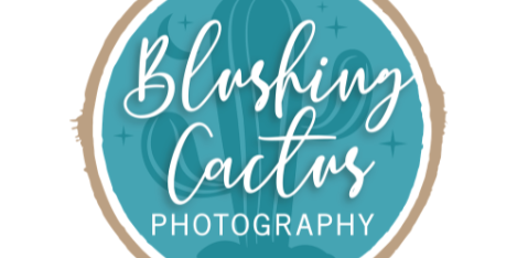 Photo Galleries Sponsor